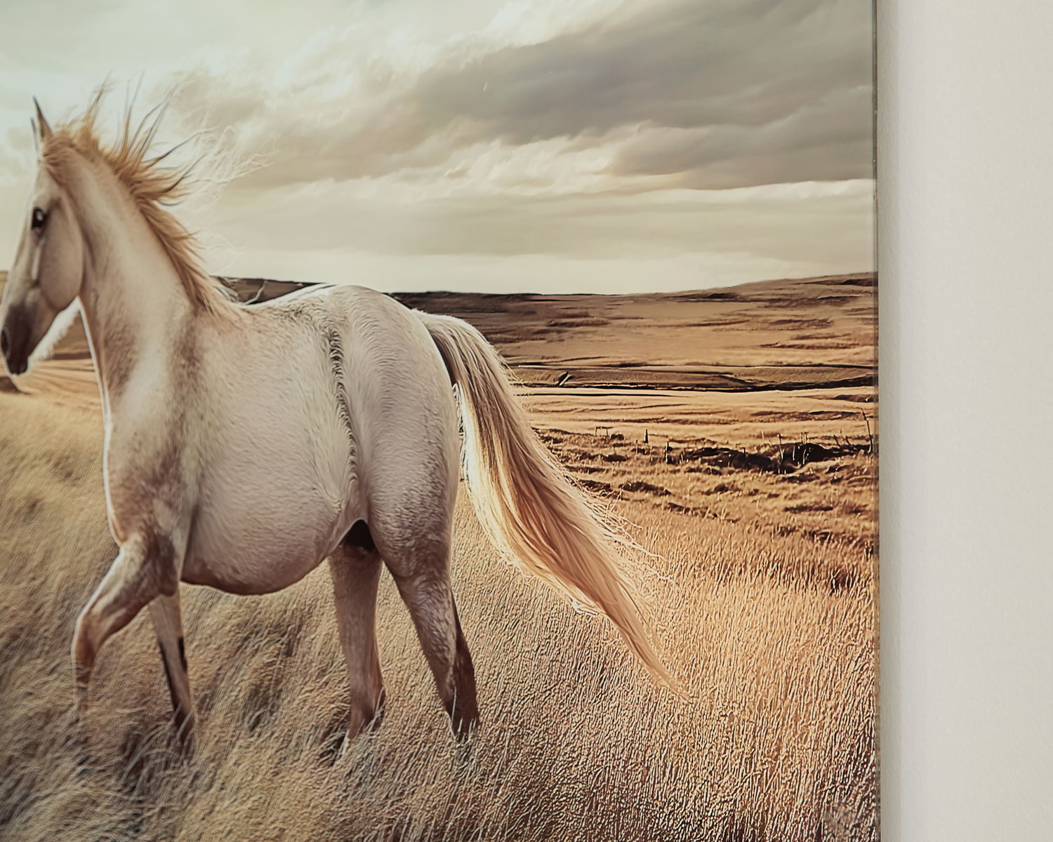 Errolville - Wall Art - Multi - Image 6