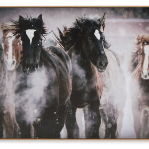 Chaseburn - Wall Art - Brown / Black / White