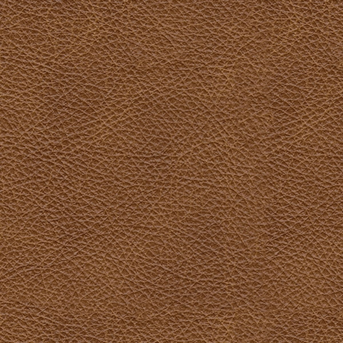 Carianna - Loveseat - Caramel - Image 3