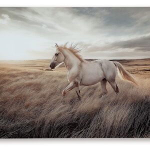 Errolville - Wall Art - Multi