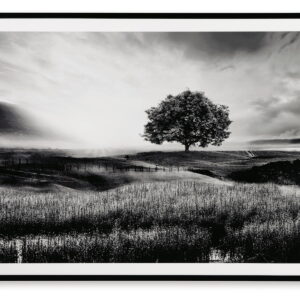 Deborland - Wall Art - Black / White