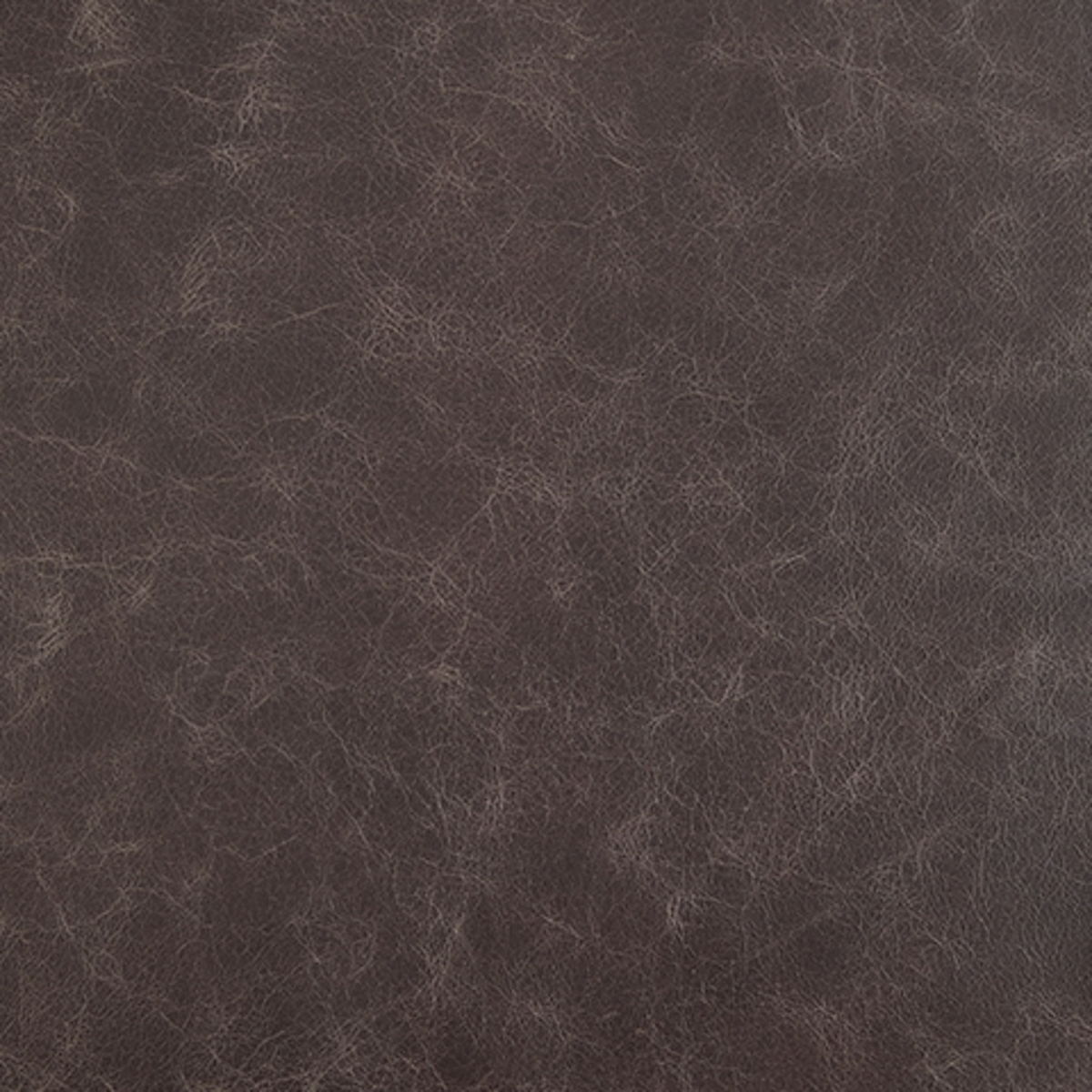 Bradett - Accent Chair - Dark Brown / Gold Finish - Image 7