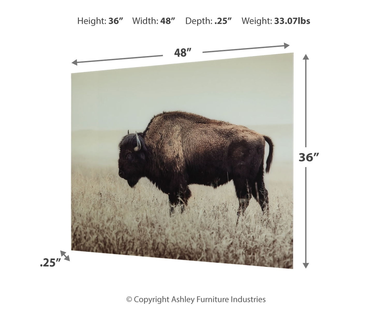 Brutus - Wall Art - Sepia - Image 3