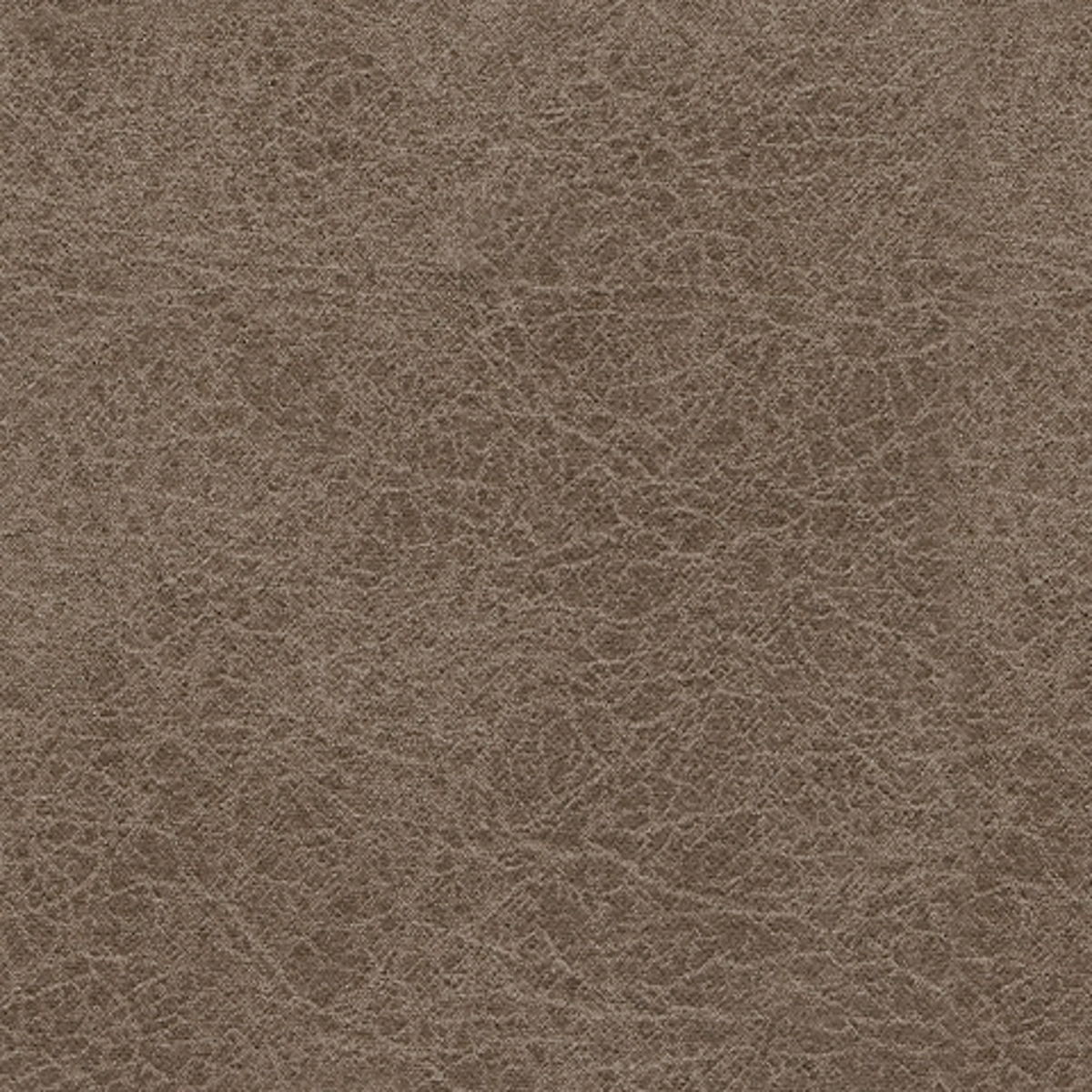 Navi - Queen Sofa Sleeper - Fossil - Image 7